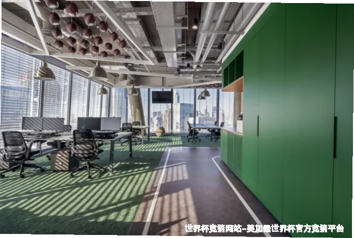 未来愿景与发展方向